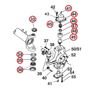 King Pin Rebuild Kit with Cap, Ford, Dana 60